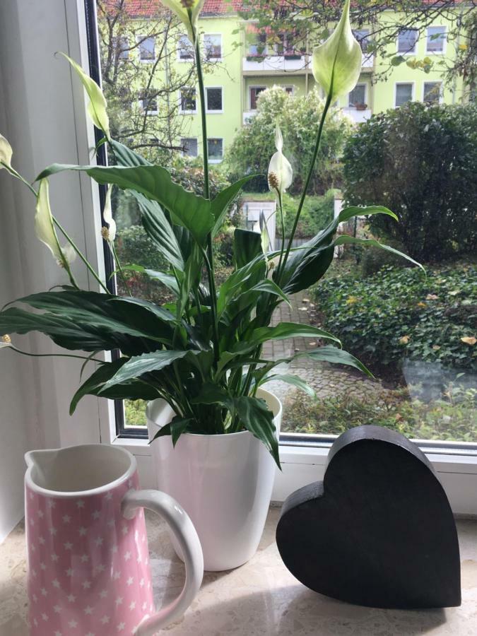 Gemuetliche Ferienwohnung Im Erdgeschoss- Jenaer Strasse Erfurt Extérieur photo
